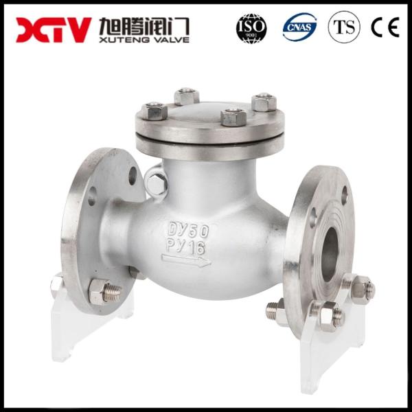 3.000kg ANSI 150lb SS304 Industrial Flanged Check Valve/Swing Check Valve/Non