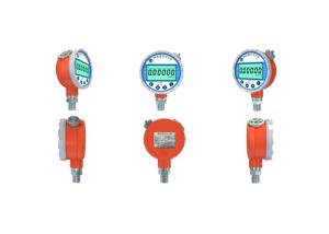 China Storage Type OEM Pressure Sensor Anti - Interference PT218 For Oil Industry wholesale
