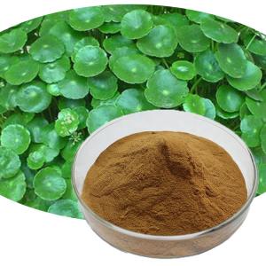China Organic Herb Extract Centella Asiatica Gotu Kola Powder wholesale