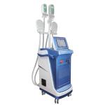 Cryotherapy Slimming Criolipolisis Cryo Fat Cryolipolysis Machine 360 Cryolipoly