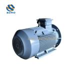 IE4 550w 0.75kw 3kw 4kw 5.5kw 11kw Small Base High Power Speed IE4 Motor Machine