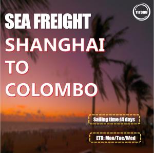 China Sea Freight From Shanghai China to Colombo Sri Lanka wholesale