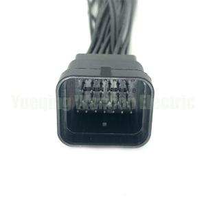 China 26 Pin WL2621-1.2-11 Black Sealed Waterproof Electrical Auto Wire Harness Connector Plug wholesale