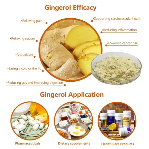 Ginger Extract Powder 1%-20% Gingerol