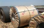 0.3mm - 8.0mm 304 / 304L Hot Rolled Stainless Steel Coils No.1 Finished