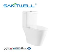 China Washdown Fashionable 2 Piece Toilet Structure S Trap With Soft Surface wholesale