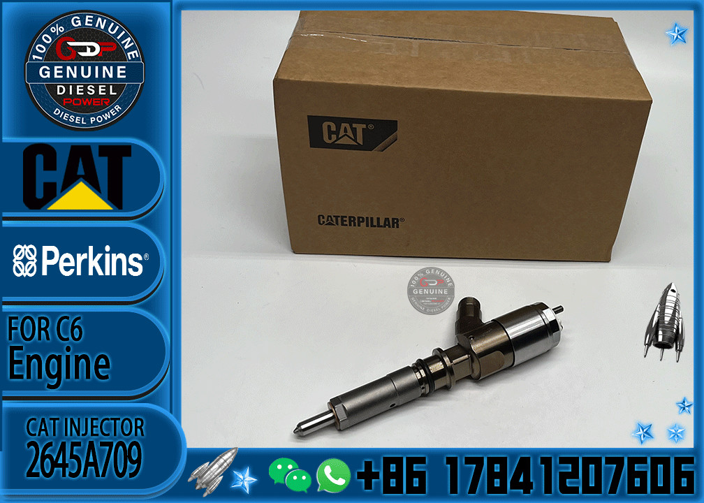New Diesel Fuel Injectors nozzles 321-0990 2645A743 10R-7668 2645A705 2645A709 injector for Caterpillar C6.6 Perkins 110