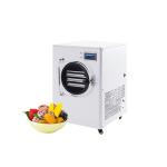 Electrolysis High Output Freeze Dryer Machine For Fruits For Sale