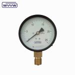 4" Bellows Low Pressure Gas Gauge 100mm Bottom Mount Style
