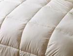 King Size Cotton Duck Down Feather Quilt / Duvet Box Quilting for Wedding or