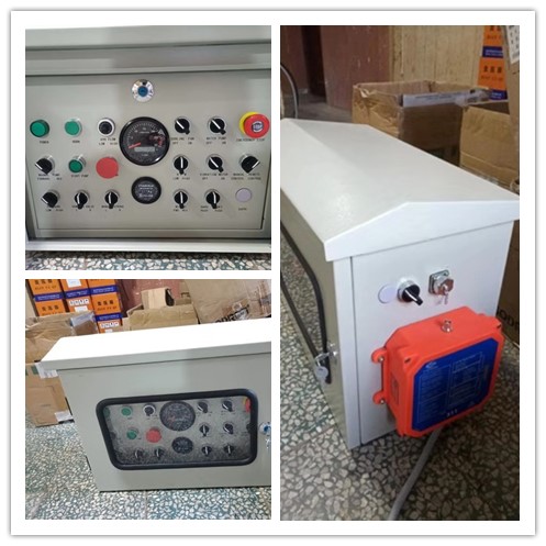 HBT40.10.60RS Stationery NEW Concrete Pump Customized 500M