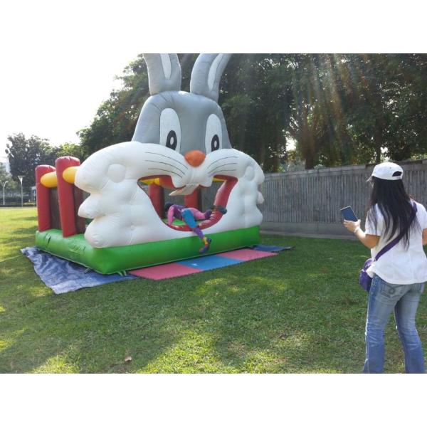 Rabbit Inflatable Bouncer Castle With Slide 6x3.5x2.5m