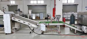 China Fully Automatic Flour Tortilla Production Equipment With Schneider Electric Components wholesale