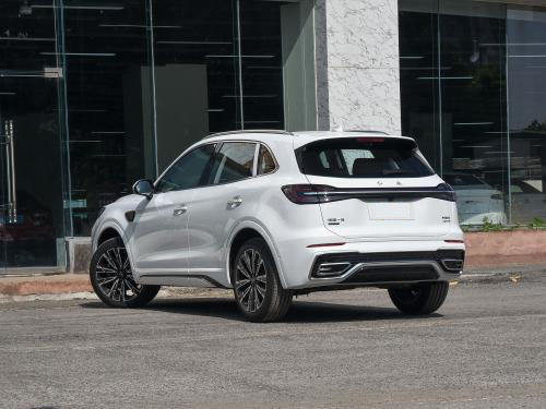 2023 HONGQI E-HS9 Midsize SUV 7 Seats Electric MPV Charging Basic Version Eqm5 E-hs3