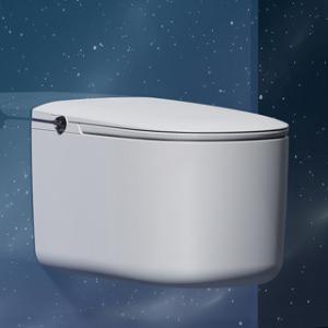China Bathroom Modern Smart Toilet 6.4L Per Flush With Bidet Washing wholesale