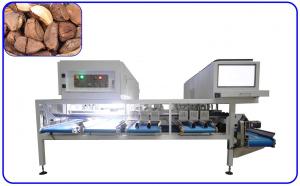 China AI Brazil Nuts Sorting Machine Stainless Steel 12 Channel Electric Drive wholesale