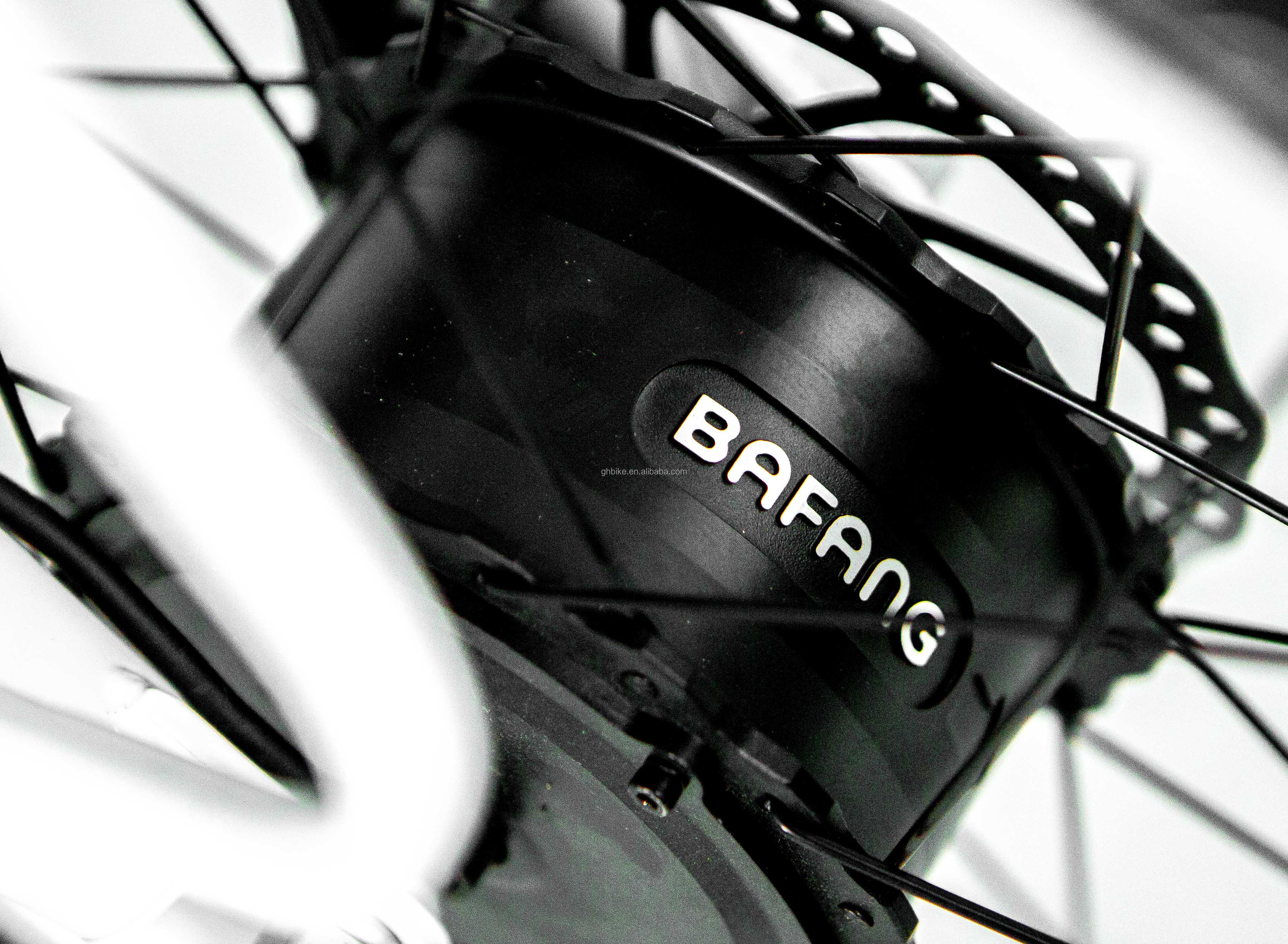 48V 14AH Rear Basket 4.0 Snow Tire Electric Cargo Tricycle with USA CE Certification