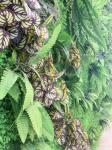 Fake Hedge 17 Inch Artificial Green Walls PE PP