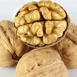 China Wholesale Walnut Inshell Fresh Delicious Nutrition Kernel Food Dried Walnuts Factory Price Amazon’s best-selling products wholesale