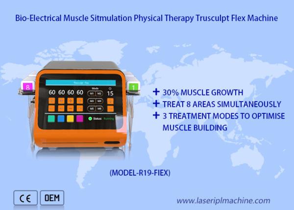 Non Surgical Muscle Sculpting Ems Muscle Stimulation Machine Body Shaping
