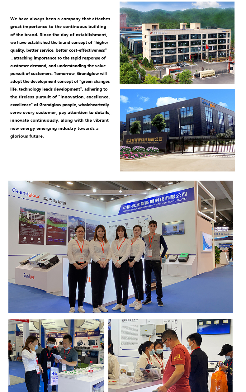Customized Parallel Function 5KW 10KW Pure Sine Wave MPPT Wind Solar Power Inverter