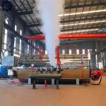 Automatically Control LPG CNG or Natural Gas Gaz Fired Steam Boiler for