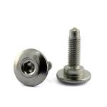 Custom Stainless Steel Special Shoulder Bolts HV250-600 m5 Button head Step