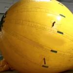 Hongruntong Underwater Air Lift Bags Hot Air Balloon Lift Bag Resistant To Aging