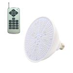 Inground Pool E26 3325lm Pentair Color Pool Light