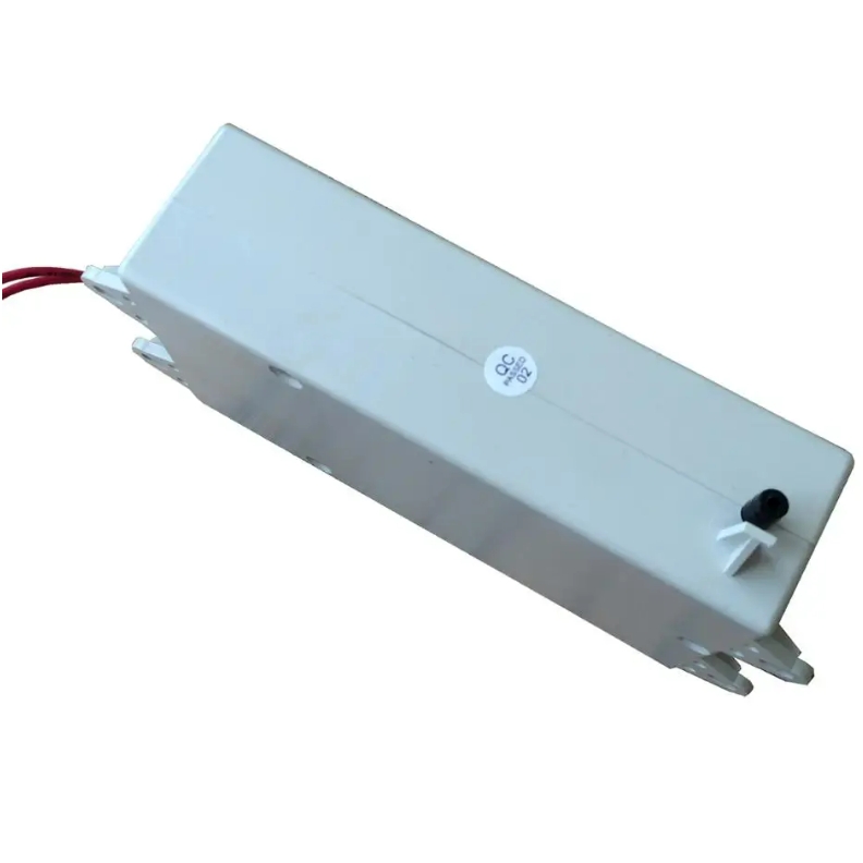 200-300 mg/hr Ozone Output Ozone Generator Cell for Fruit and Vegetable Detoxification