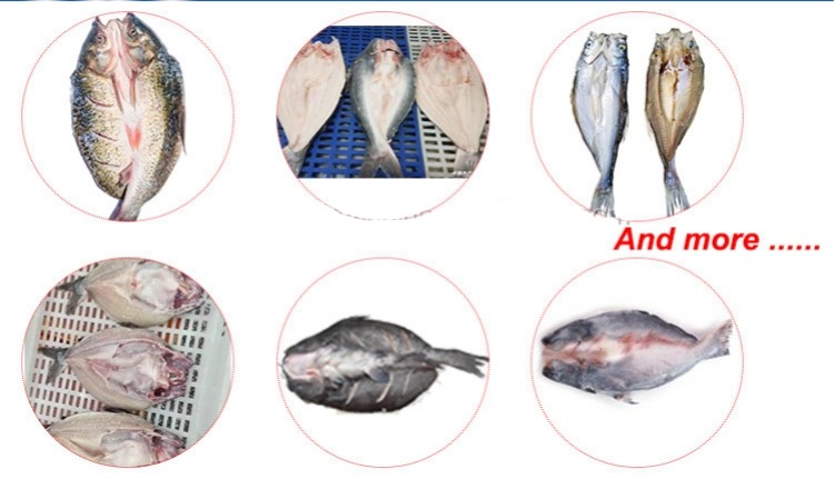 Automatic Fish Processing Machine Cod Hook Fish Trout Salmon Catfish Tilapia Smoked Sashimi Slicer