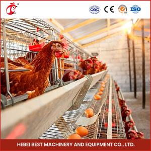 China 96 Birds Automatic Chicken Cage Equipment Battery Egg Layer Cage For Laying Hens In Nigeria Iris wholesale