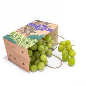 China Customizable Sustainable Fruit Packing Paper Bags For Fruits And Vegetables wholesale