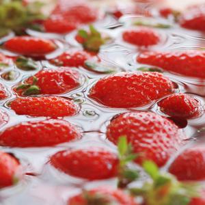 China Industrial Fruit Cleaning Machine Automatic Strawberry Washing Machine wholesale