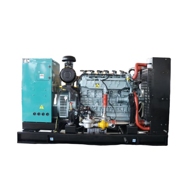 Russian Market MAN Technology Synchronization 250kw Natural Gas Generator by