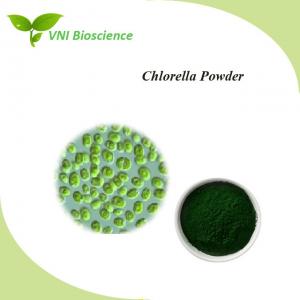 China Healthy Nature Food Additive Antibiotic Plant Chlorella Powder on sale