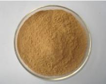 China Lose Weight Medicine Cassia Nomame P.E/Cassia Nomame Extract,Cassia Nomame Extract Powder on sale