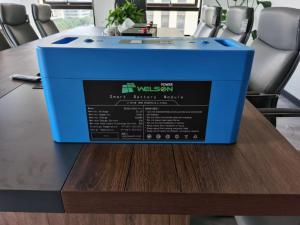China Deep Cycle Lion Lithium Rv Battery 100ah 12v 24v Enhanced Flooded Dual Purpose Marine wholesale