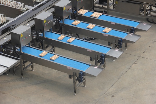 Egg Washing Grading Packing Machine Durable Large-Scale for Farm Processing Equipment
