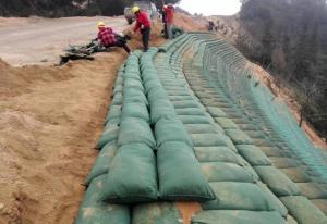 China 100% PP White Geotextile Geobag Non Woven Geotextile Fabric Bags For River Bank wholesale