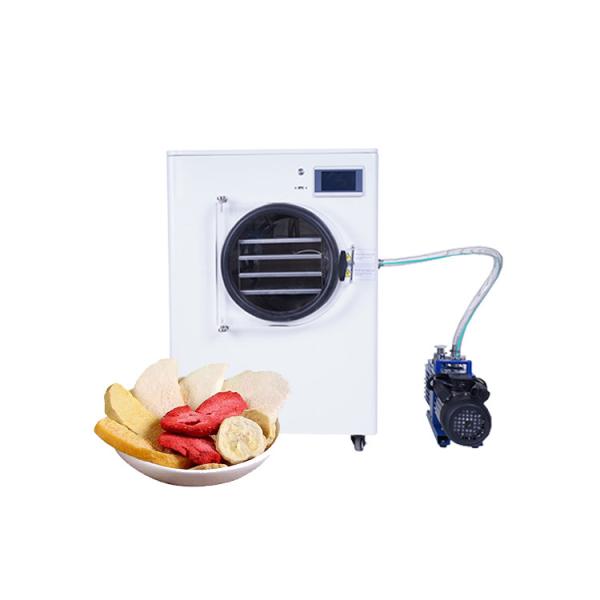New Arrival Freeze Dry Machine/Freeze Dryer Vacuum Freeze Food Dryer With Low