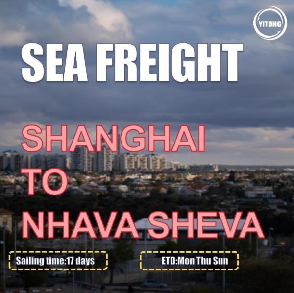 ISEA China To India Sea Freight From Shanghai To Nhava Sheva International Ocean
