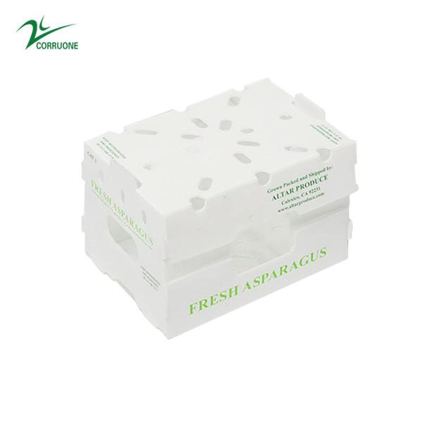 Corruone PP Correx fruit seafood vegetable Cartonplast corrugated plastic