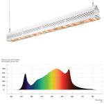 200 Watt Led Grow Light Full Spectrum , IP67 Waterproof Led Plant Grow Light