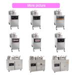Power LGP/NG Gas 30L Capacity Dual Purpose Mechanical Panel Hotel Stove