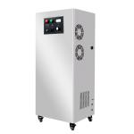 100g 300g 500g 1000g Water Ozone Generator Wastewater Treatment For Textile