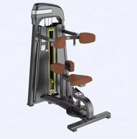 Best saling and high quality Gym Rotary Torso Exercise Machine For Chest Workout Training