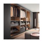 Customized Walk-in Wardrobe Cabinet in Contemporary Design Style for Clothing