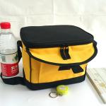 Insulated Soft Cooler Picnic Lunch Box Tote Bottle Bag Freezer Tote promotional