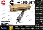 Genuine Fuel Injector QSK23 QSK60 Diesel Engine Spare Parts 4902827 4902828